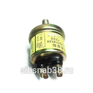 Датчик давления масла YG2221E3 (10) LW300F